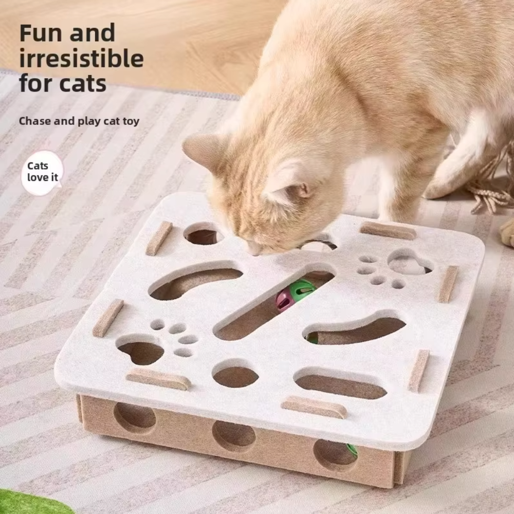 PurrPlay Puzzle Box