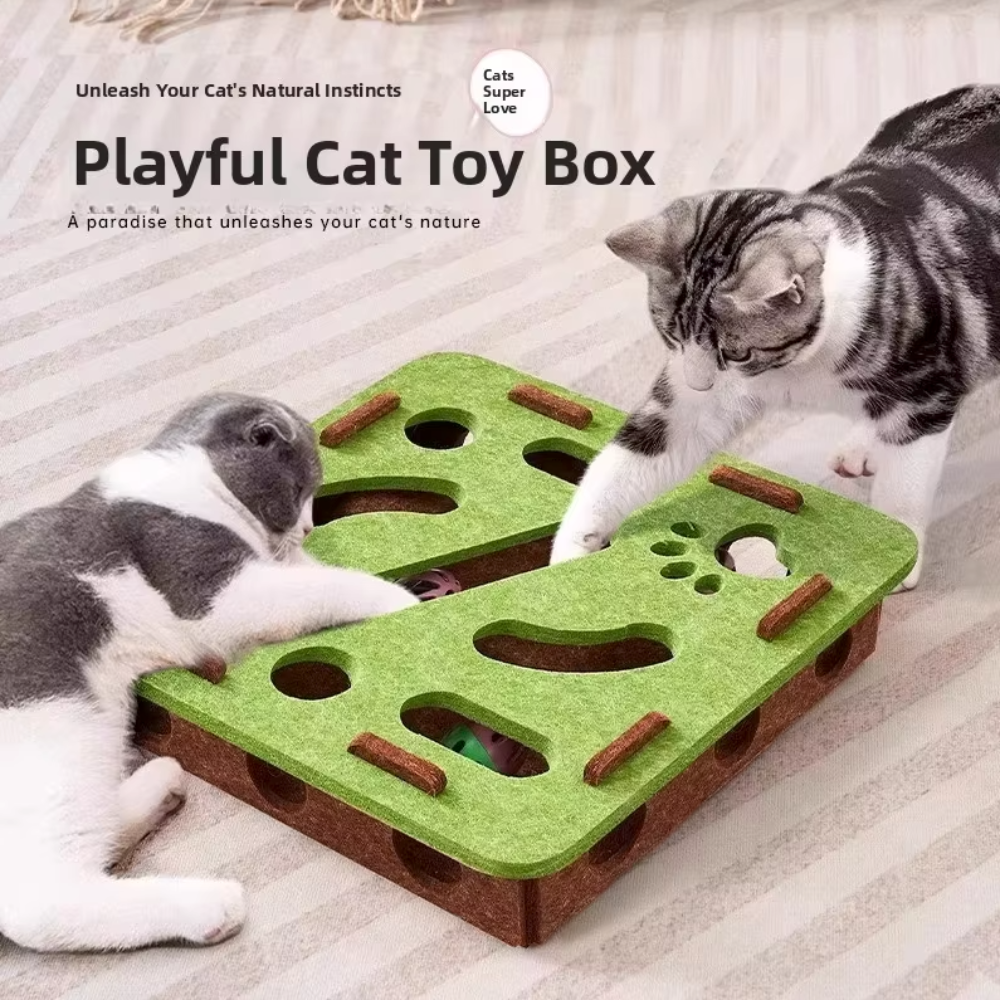 PurrPlay Puzzle Box