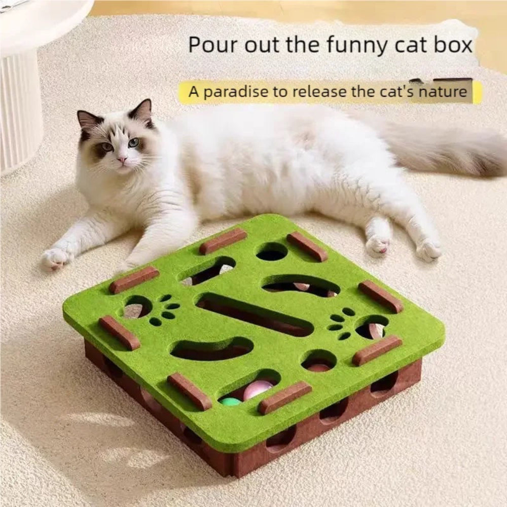 PurrPlay Puzzle Box