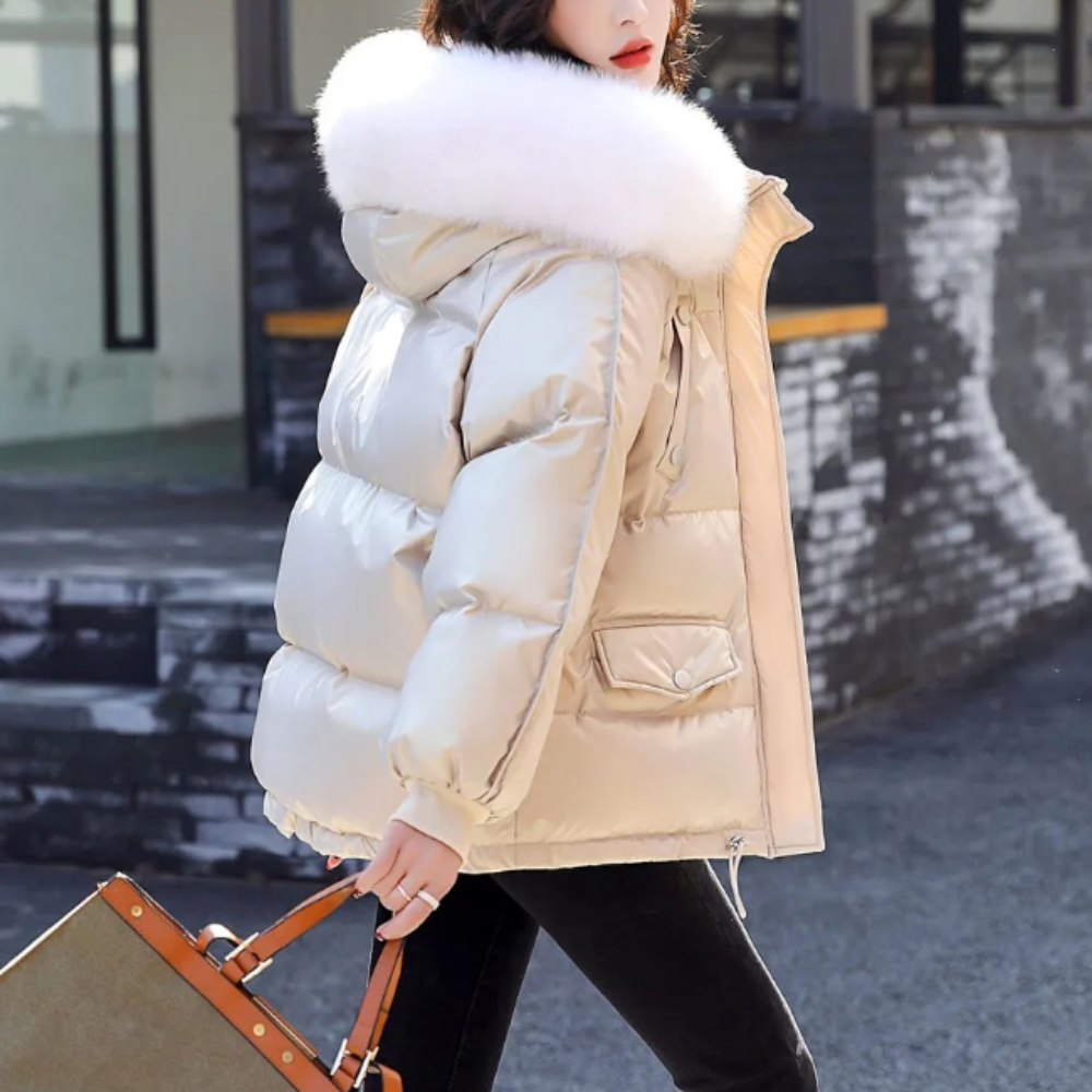 Womens Winter Short Puffy Coat with Hood