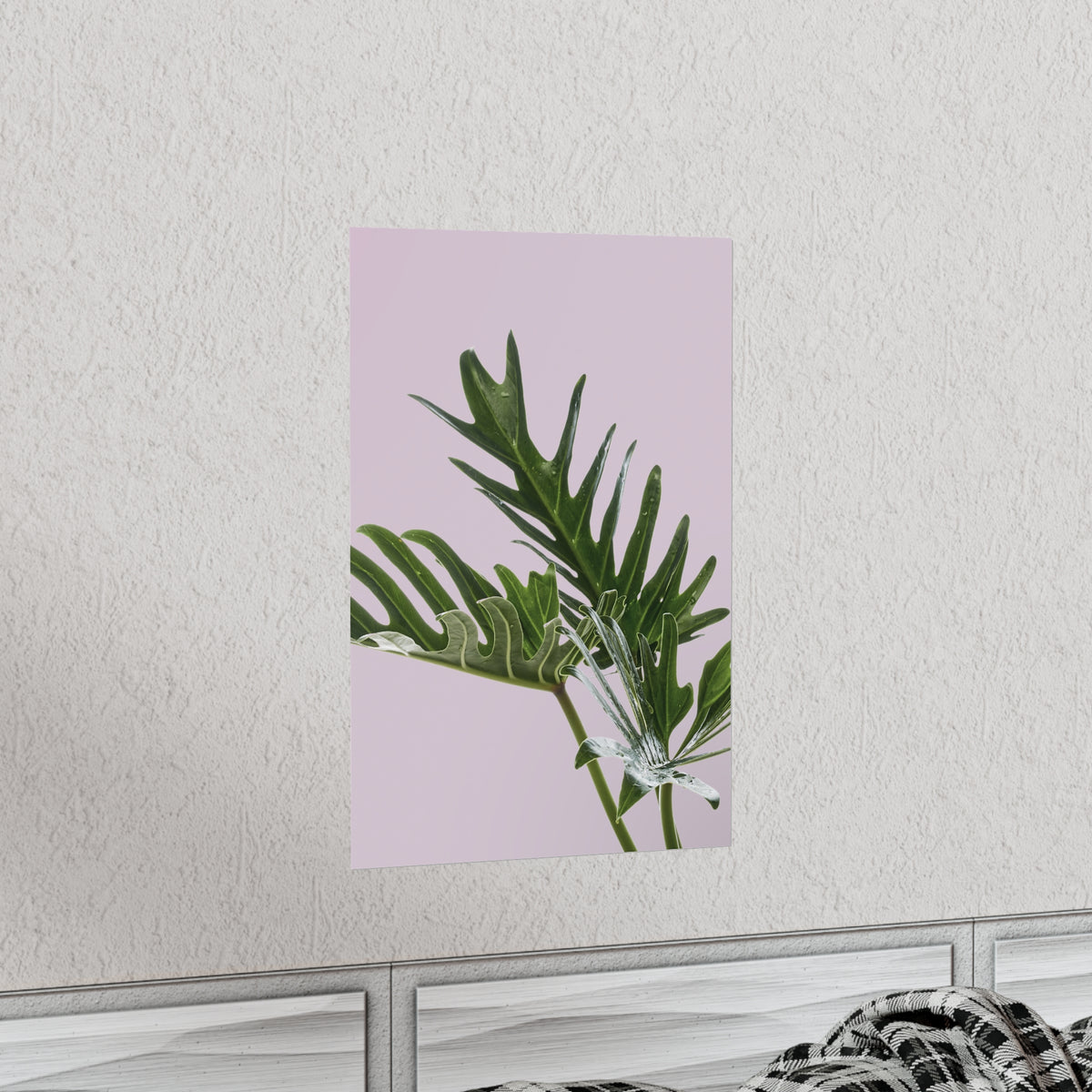Philodendron Pink Poster