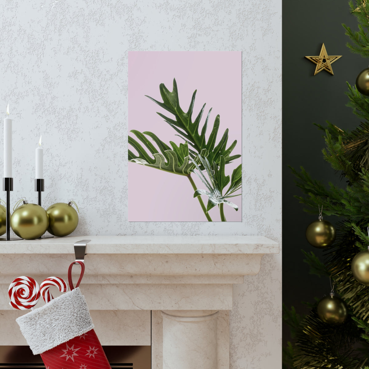 Philodendron Pink Poster