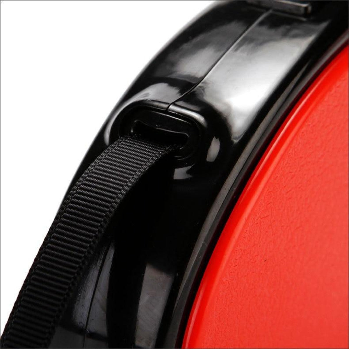 Retractable Nylon Dog Leash 5 Meters Long