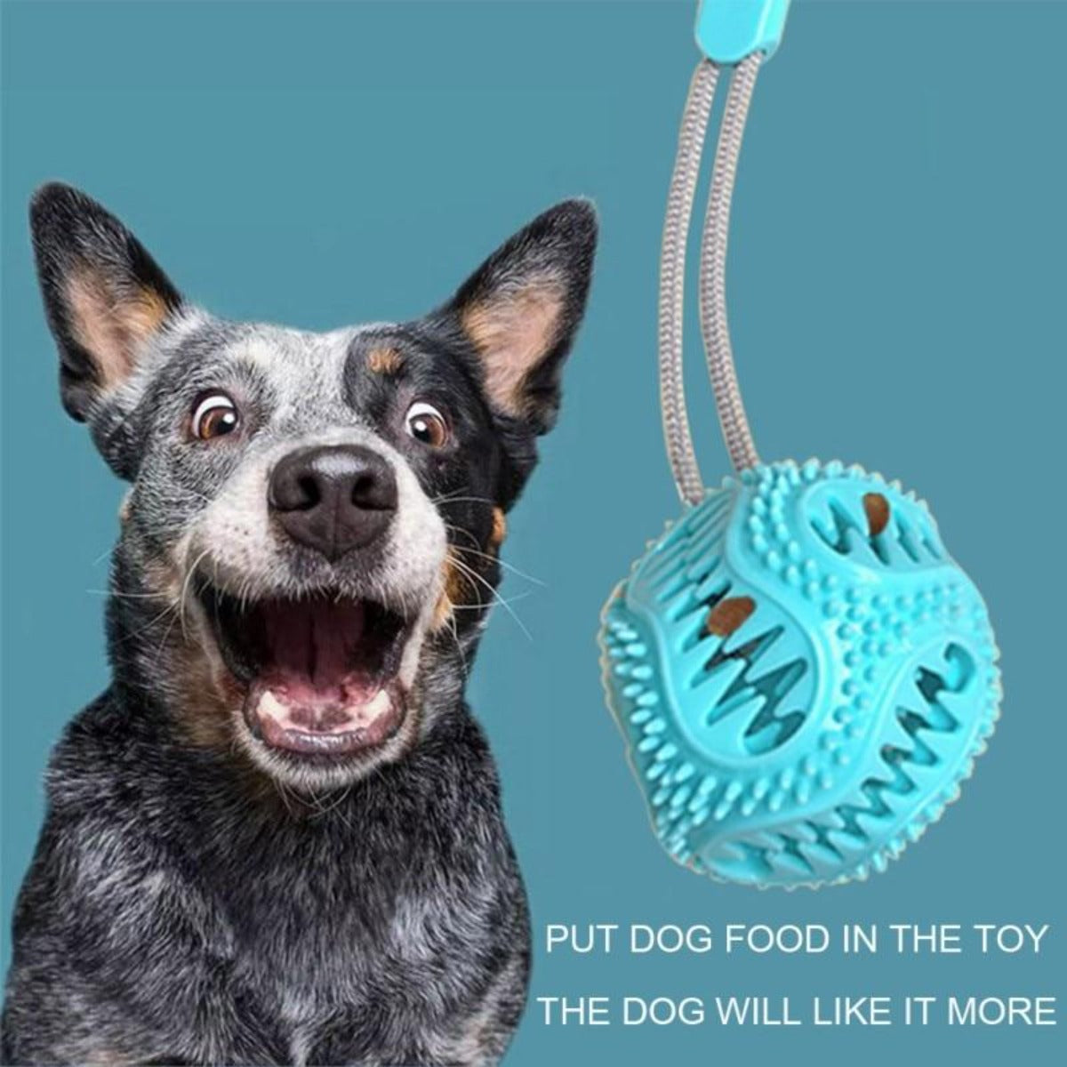 Dogs Chewing Toy with Suction Cup