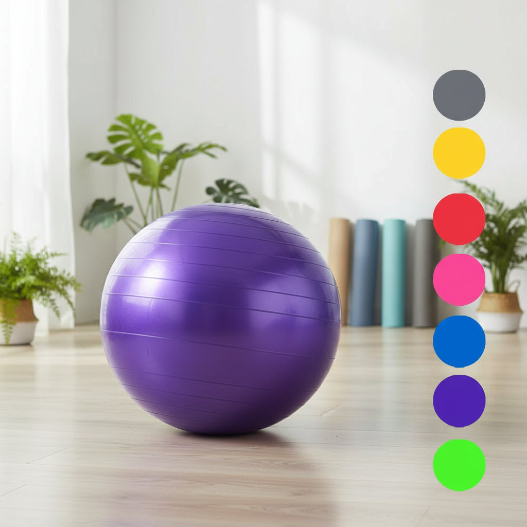 Home Exercise Fitness Yoga Ball