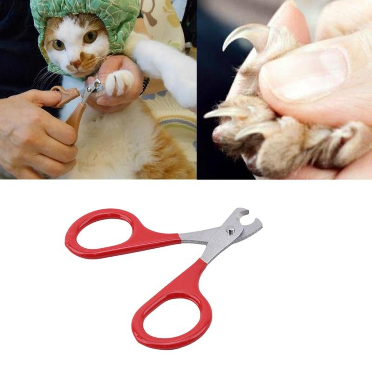Stainless Steel Cat Nails Scissors 3 PCS Set