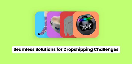 Seamless Solutions for Dropshipping Challenges