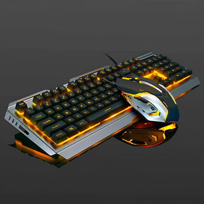 Premium Metal Gaming Keyboard and Mouse Set by Ninja Dragons V1X