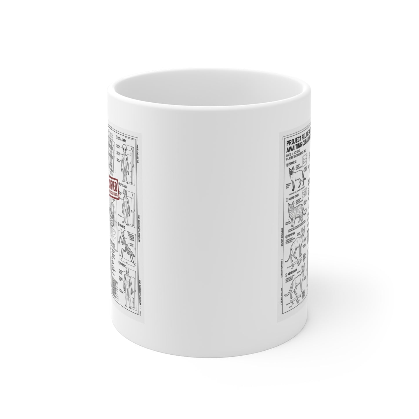 The Classified Cat & Tuna Files Mug