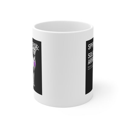 The Sphynx Cat Solar Array Blueprint Mug