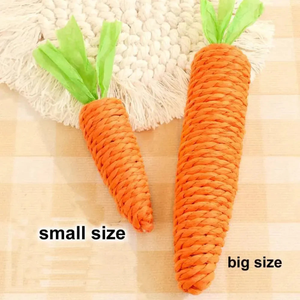 2pcs Set Cat Scratch Carrot Toy