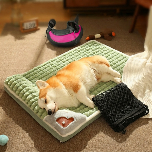 Pawfect Journey 3 PCS Pack: Cozy Bed, Travel Bag & Car Safety Net