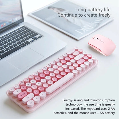 Purr Glow Kawaii Computer Combo