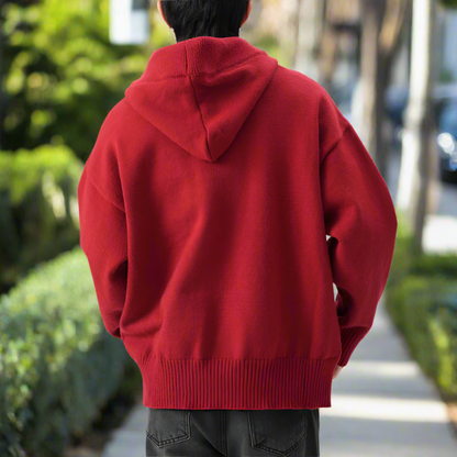 Mens Hooded Pull Over Sweater