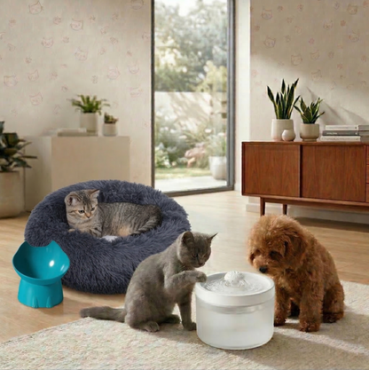 Paw-fect Comfort Trio 3 PCS Pet Bundle