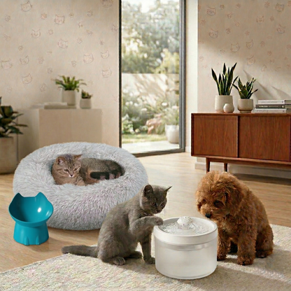 Paw-fect Comfort Trio 3 PCS Pet Bundle