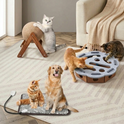 Purr-fect Warm Playtime 3 PCS Set