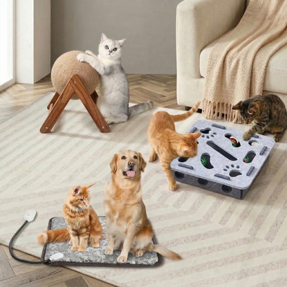 Purr-fect Warm Playtime 3 PCS Set