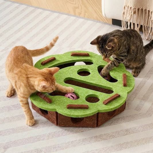 PurrPlay Puzzle Box