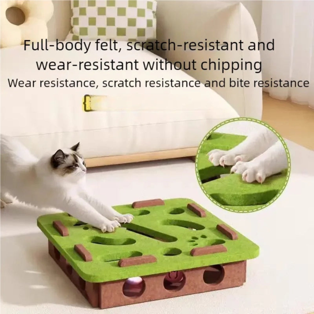 Purr-fect Warm Playtime 3 PCS Set