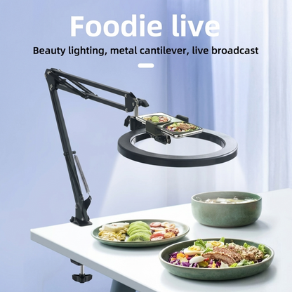 Heavy-Duty Metal Overhead Phone Stand with A 10" Fill Ring Light