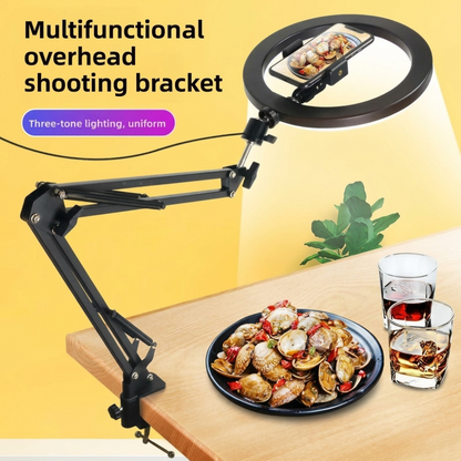 Heavy-Duty Metal Overhead Phone Stand with A 10" Fill Ring Light