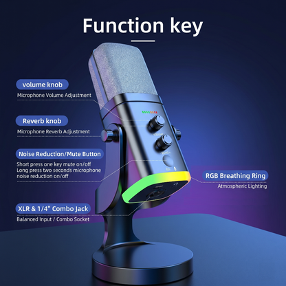 Dual-Mode RGB Dynamic Microphone