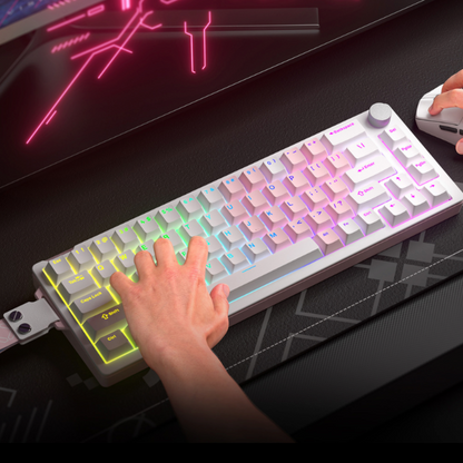 Compact Wired 68-Key Hot-Swap Mechanical Keyboard with RGB & Volume Knob