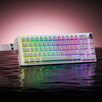Compact Wired 68-Key Hot-Swap Mechanical Keyboard with RGB & Volume Knob