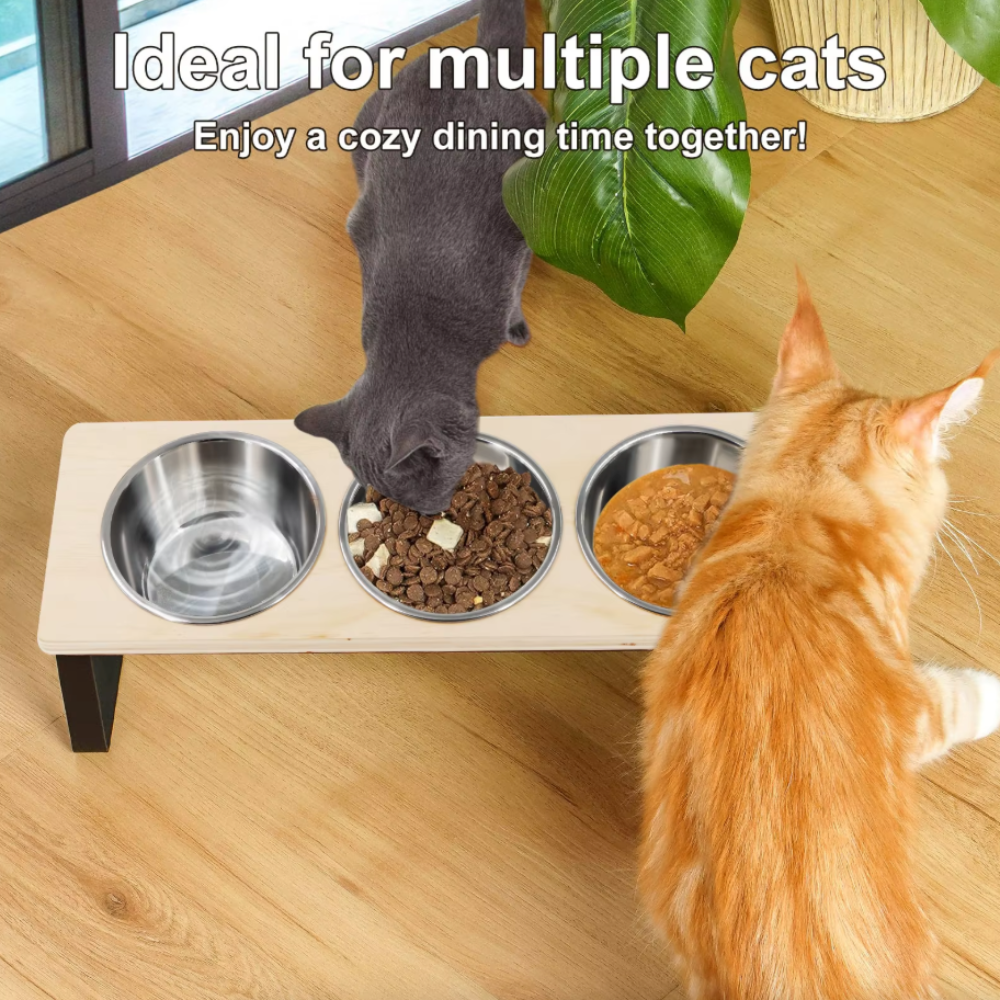 Elevated Tilted Cat Feeder Stand with 3 Stainless Steel Bowls