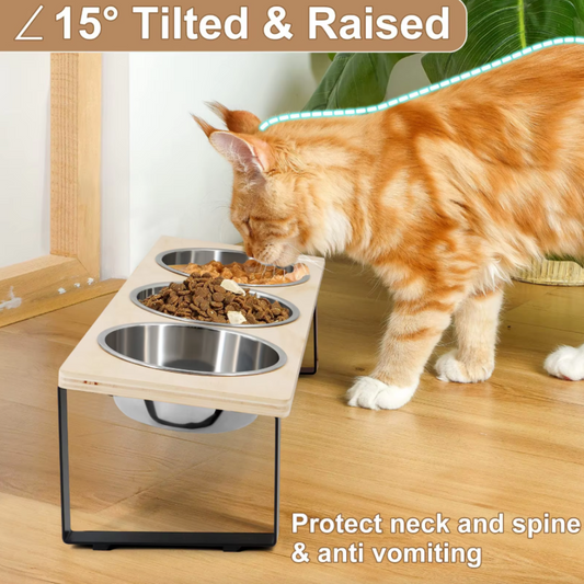 Elevated Tilted Cat Feeder Stand with 3 Stainless Steel Bowls