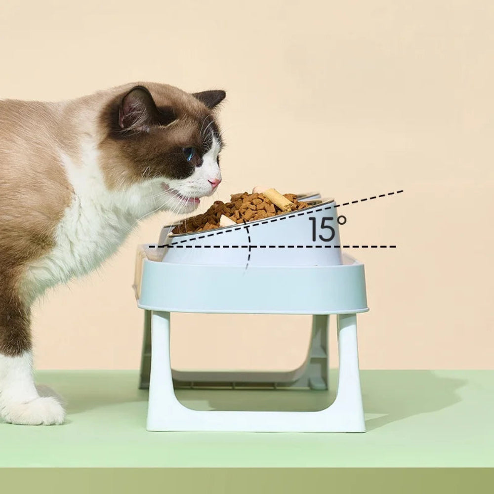 15° Elevated Pet Feeder with Dual Stainless Steel Bowls