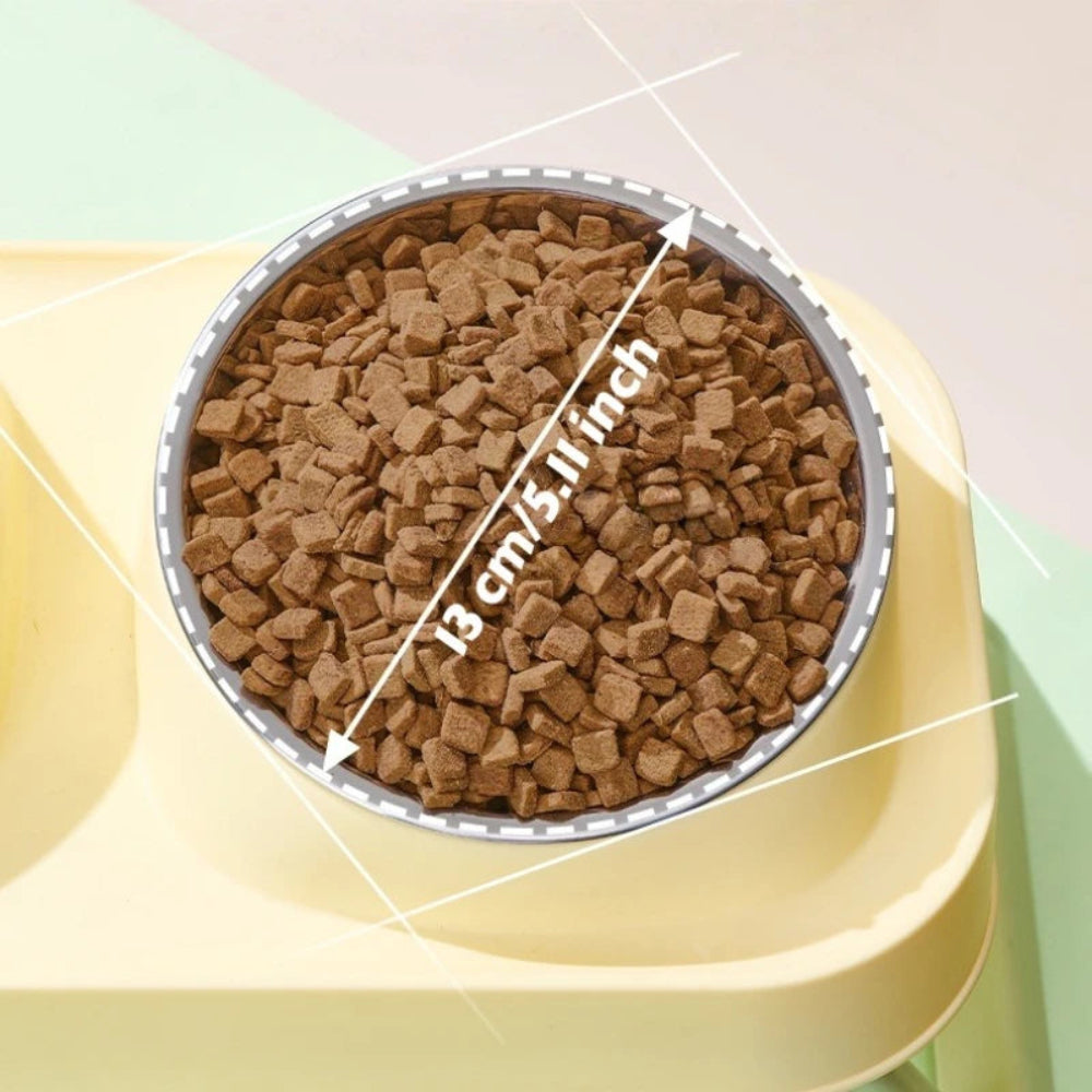 15° Elevated Pet Feeder with Dual Stainless Steel Bowls
