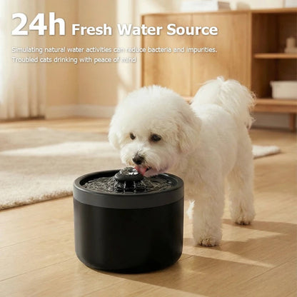 Paw-fect Comfort Trio 3 PCS Pet Bundle