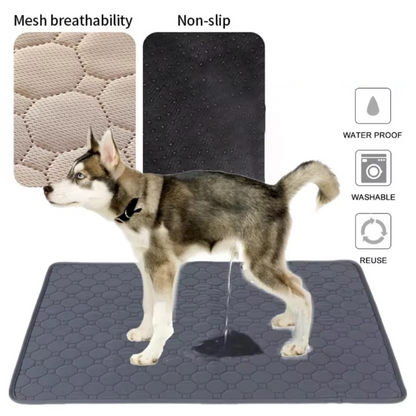 ChillOut Pet Adventure 3 PCS Set