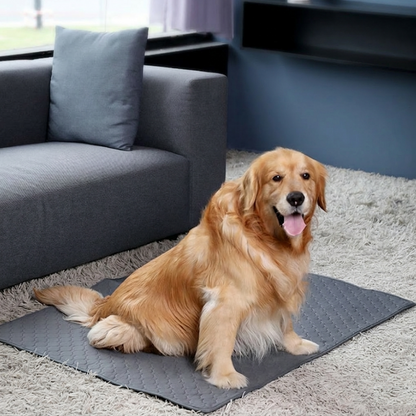 ChillOut Pet Adventure 3 PCS Set