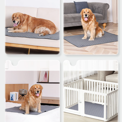ChillOut Pet Adventure 3 PCS Set