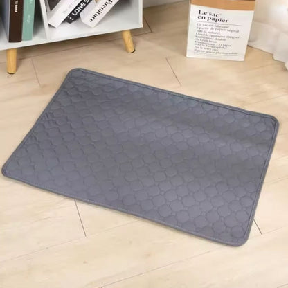 ChillOut Pet Adventure 3 PCS Set