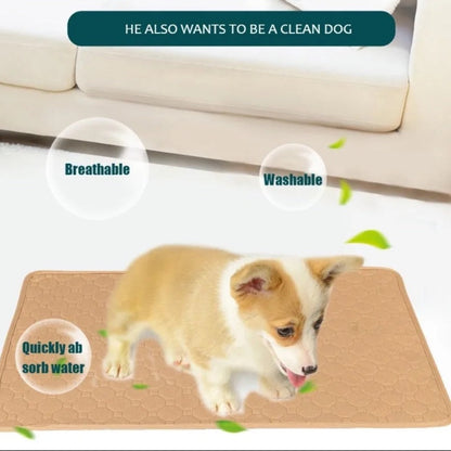 ChillOut Pet Adventure 3 PCS Set