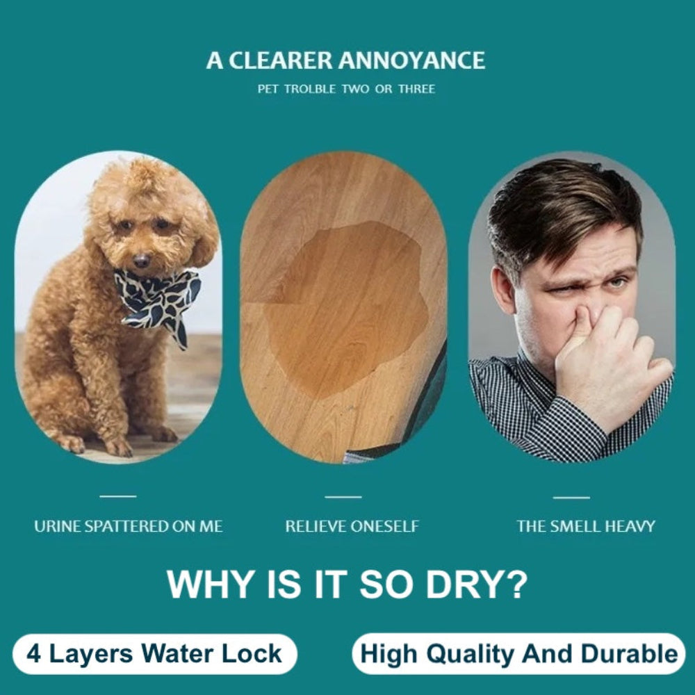 ChillOut Pet Adventure 3 PCS Set