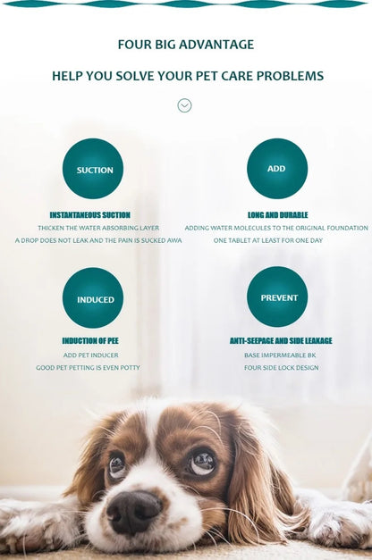 ChillOut Pet Adventure 3 PCS Set