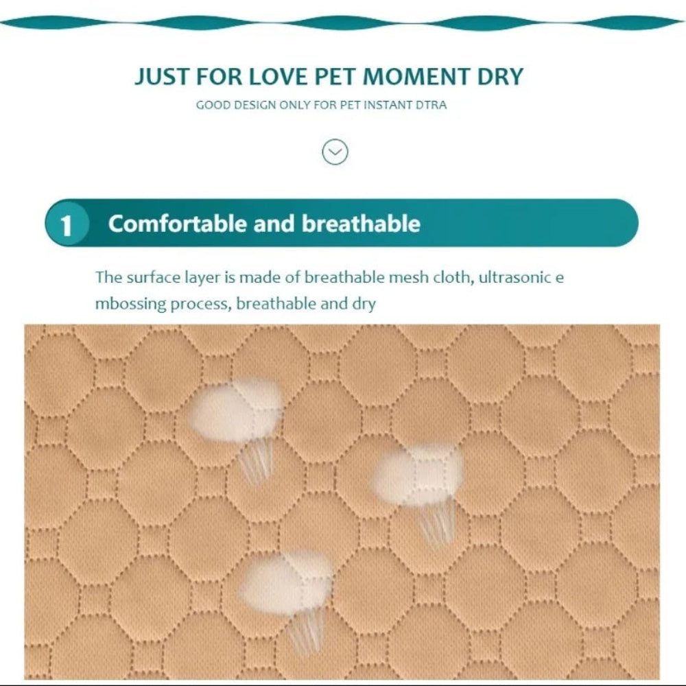 ChillOut Pet Adventure 3 PCS Set