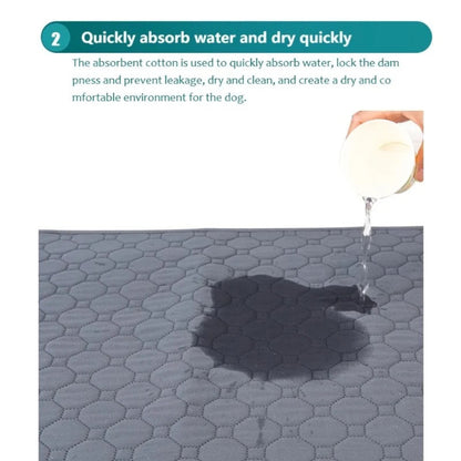 ChillOut Pet Adventure 3 PCS Set