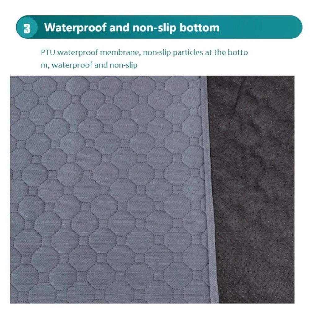 ChillOut Pet Adventure 3 PCS Set