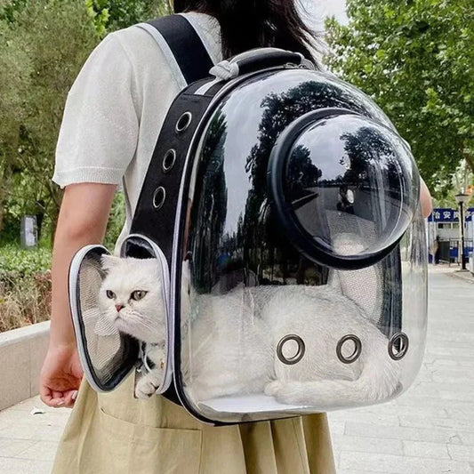 Breatheable Transparent Pet Backpack