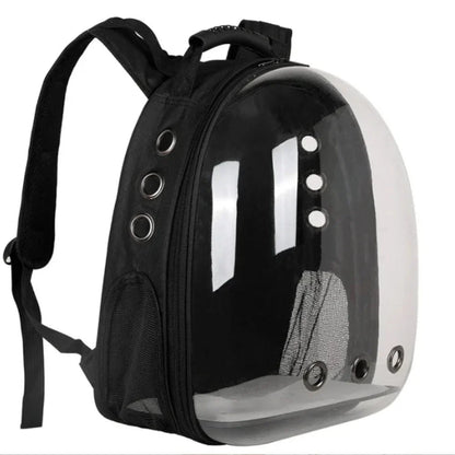 Breatheable Transparent Cat Backpack