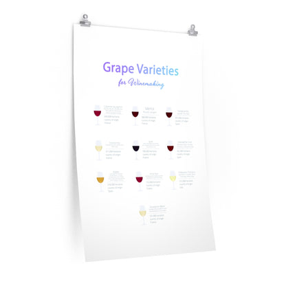Grape Varieties for Winemaking Poster Room Decor