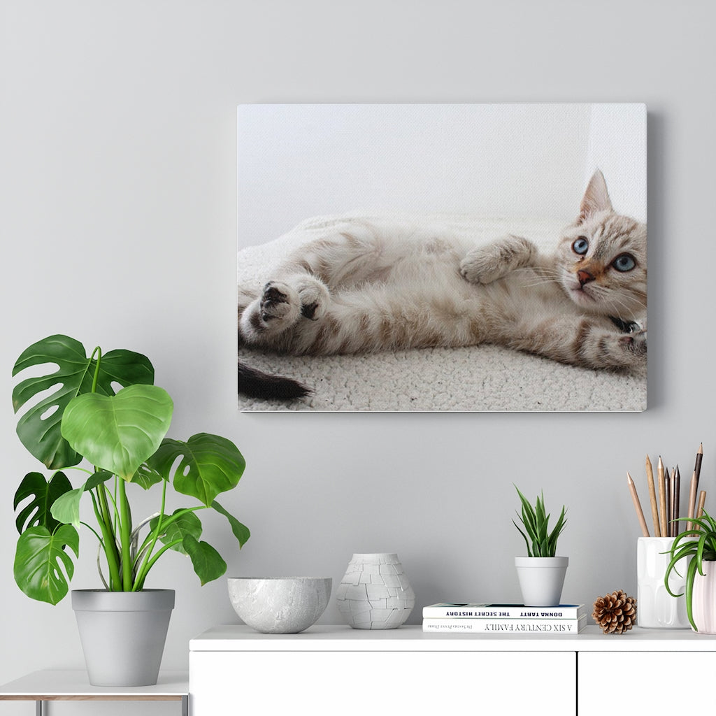 Adorable Cat Canvas Gallery Wall Art