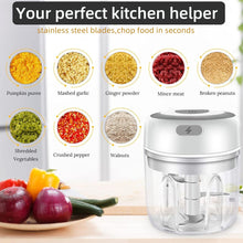 Load image into Gallery viewer, USB Mini Portal Vegetable Chopper
