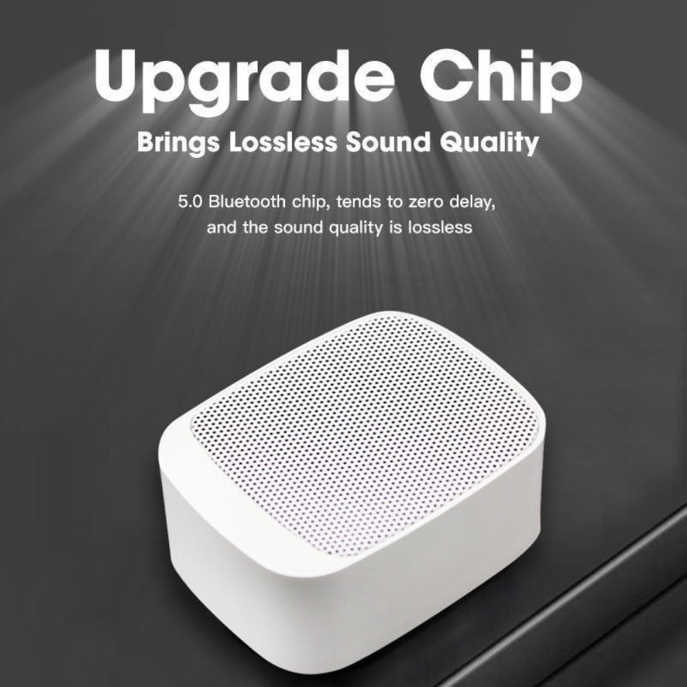Mini Bluetooth 5.0 Wireless speaker